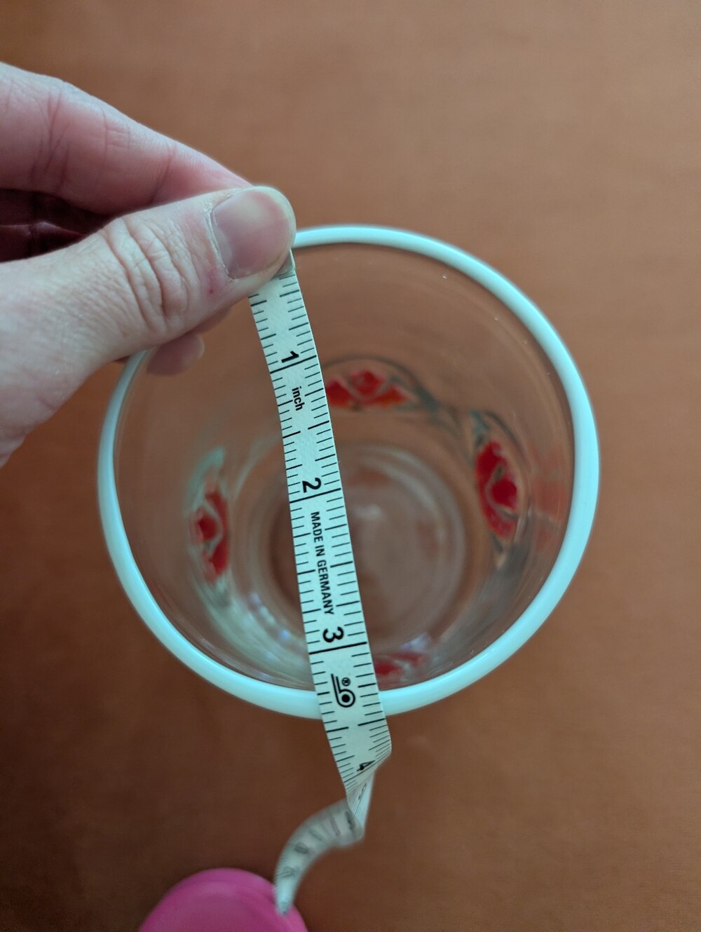 Anthropologie Icons Glass, Clear with Red Maple Leaf Accents - Picture 8 of 9